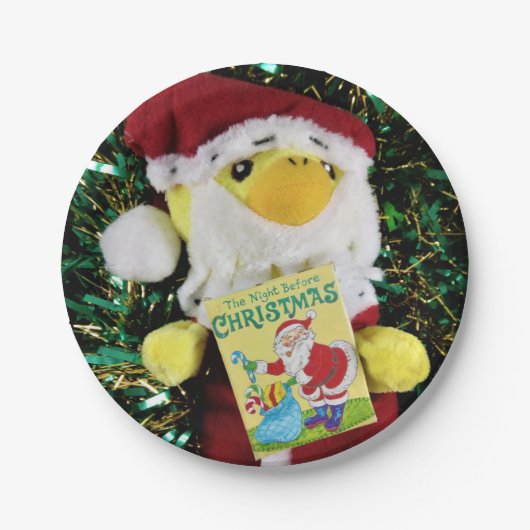 Danny Duck Sinterklaas. Papieren borden Bordje (Voorkant)