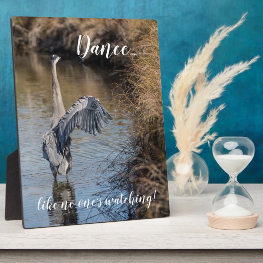 Dans alsof niemand kijkt 8x10 ezel fotoplaat (Zijkant)