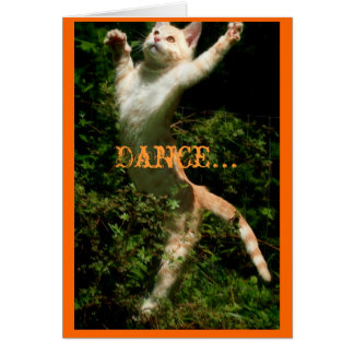 Dans alsof niemand kijkt, Dance...