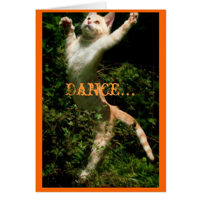 Dans alsof niemand kijkt, Dance... (Voorkant)
