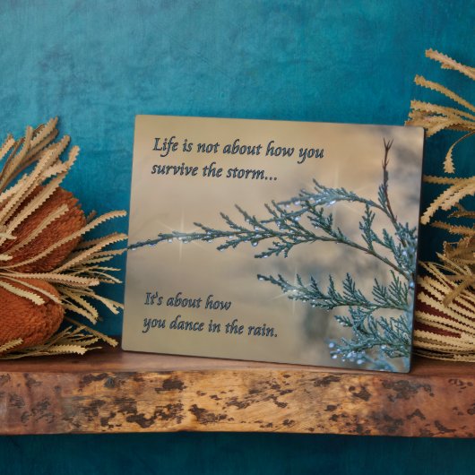 Dans in de regen fotoplaat (Zijkant)