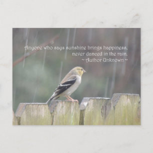 Dans in het Briefkaart van de Regen Goldfinch