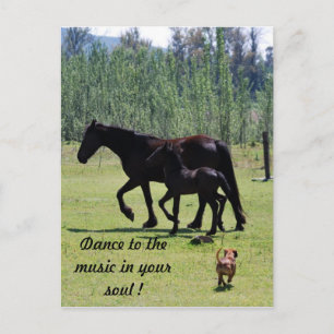 Dans naar de muziek in je ziel briefkaart