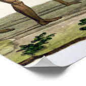 Dans of the Caroline Islanders, bord 22 uit 'Le Poster (Hoek)