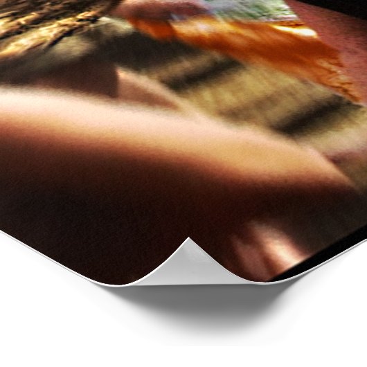 Dans Power Poster (Hoek)