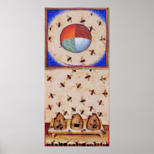 DANS VAN DE HONIJNEN MET VIER ELEMENTEN POSTER