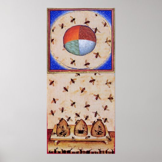 DANS VAN DE HONIJNEN MET VIER ELEMENTEN POSTER (Voorkant)