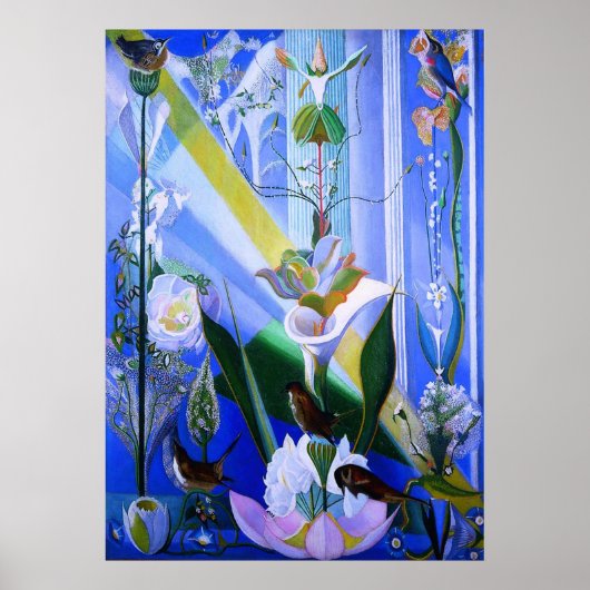 DANS VAN DE SPRING POSTER (Voorkant)