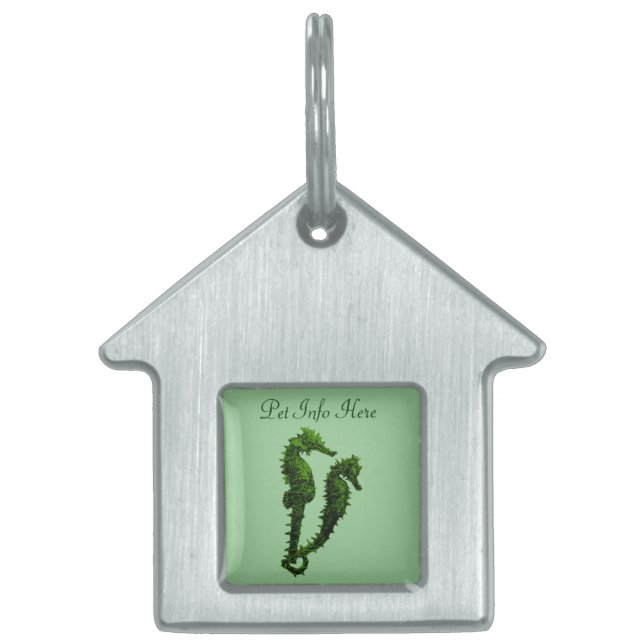 Dans van de zeepaardjes (groen) huisdieren naamplaatje (Voorkant)