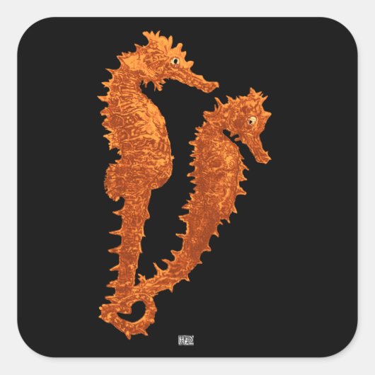 Dans van de zeepaardjes (Sinaasappel) Vierkante Sticker (Voorkant)