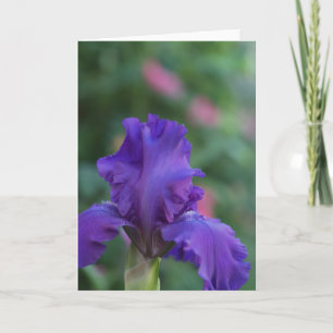 Dans van het Paarse Iris Wenskaart Kaart