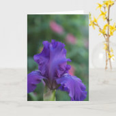 Dans van het Paarse Iris Wenskaart Kaart (Gele Bloem)