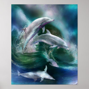 Dans van het Poster van de Dolphins Art/Print