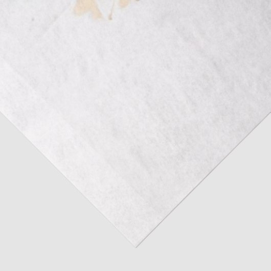 Dans van het Roos Tissuepapier (Detail)