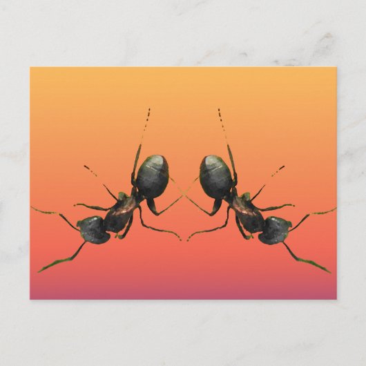 Dansants Briefkaart (Voorkant)