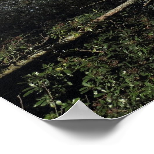 Dansbomen van het wilde hout poster (Hoek)