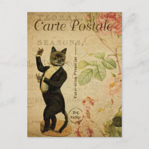  danscat geperst in Tuxedo Frans Briefkaart