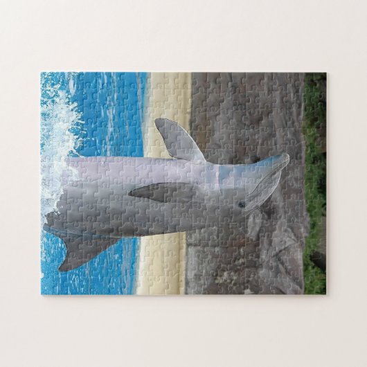 Dansdolfijn in Puzzle Legpuzzel (Horizontaal)