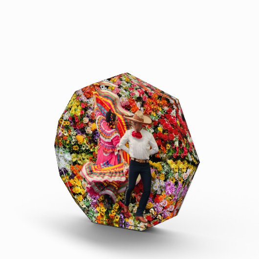 DANSEN IN BLOEI FOTOBLOKKEN (Rechts)