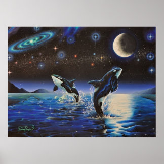 Dansen in de sterren poster