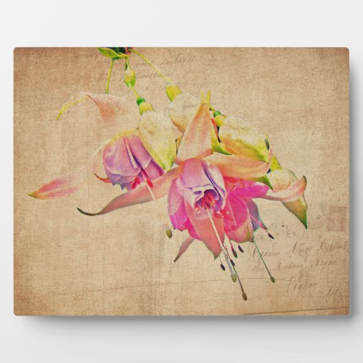 dansen in de wind - Fuchsia Flowers Fotoplaat (Voorkant)