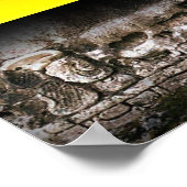 dansen voor de goden poster (Hoek)