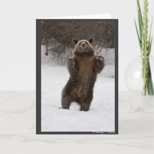 Dansend Beer Kaart (Voorkant)