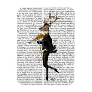 Dansend Deer met Violin Magneet