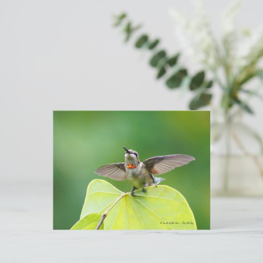 Dansend en Humming! Briefkaart (Staand voorkant)