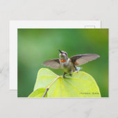 Dansend en Humming! Briefkaart (Voorkant / Achterkant)