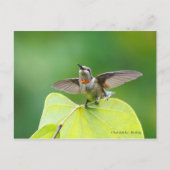 Dansend en Humming! Briefkaart (Voorkant)