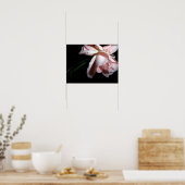 Dansend Roos 16x12 Poster (Keuken)
