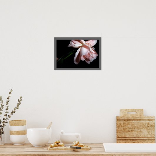 Dansend Roos Poster (Keuken)