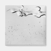 Dansend water magneet (Voorkant)