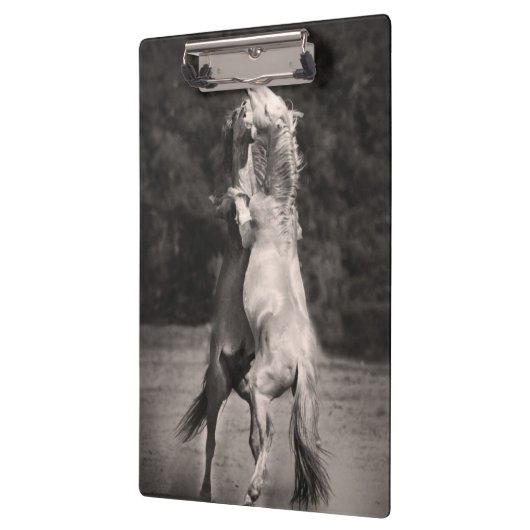 Dansende allions klembord (Links)