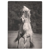 Dansende allions klembord (Achterkant)