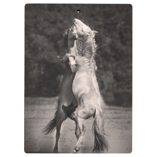 Dansende allions klembord (Achterkant)