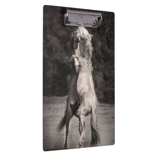 Dansende allions klembord (Rechts)