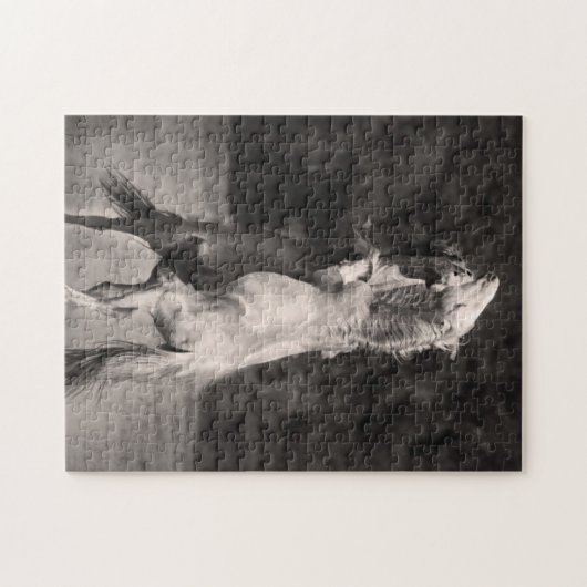 Dansende allions legpuzzel (Horizontaal)