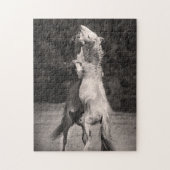 Dansende allions legpuzzel (Verticaal)