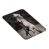 Dansende allions magneet (Rechterzijde)