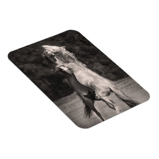 Dansende allions magneet (Rechterzijde)