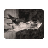 Dansende allions magneet (Horizontaal)