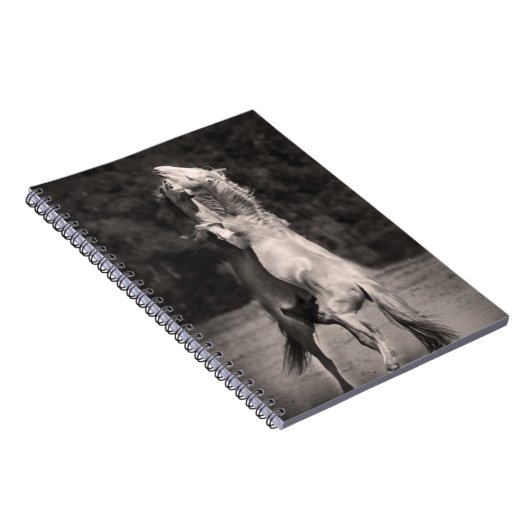 Dansende allions notitieboek (Rechterzijde)