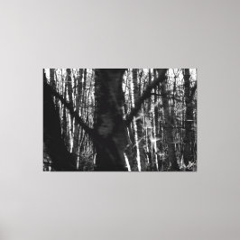 Dansende bomen op 525 Whidbey Island Canvas Afdruk