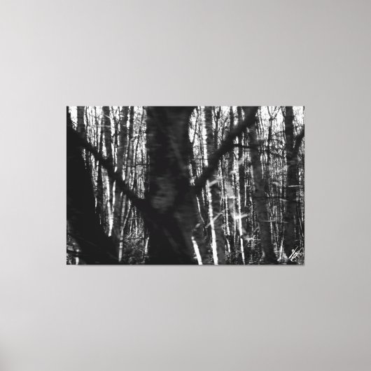 Dansende bomen op 525 Whidbey Island Canvas Afdruk (Voorkant)