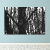 Dansende bomen op 525 Whidbey Island Canvas Afdruk (Insitu (Houten vloer))