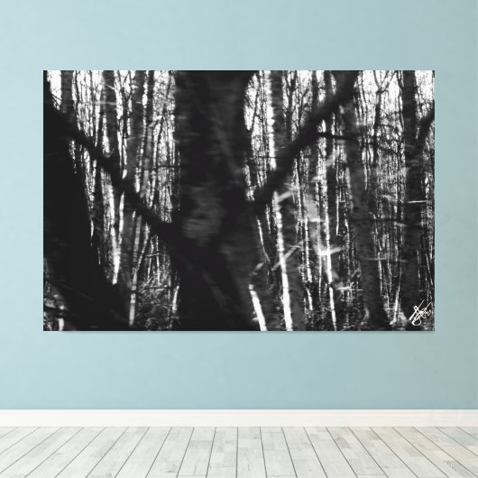 Dansende bomen op 525 Whidbey Island Canvas Afdruk (Insitu (Houten vloer))