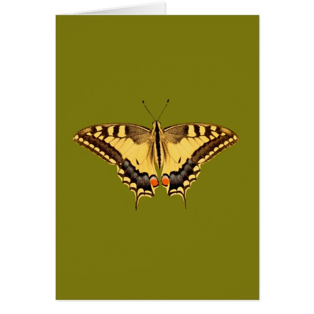 Dansende Butterfly (Voorkant)