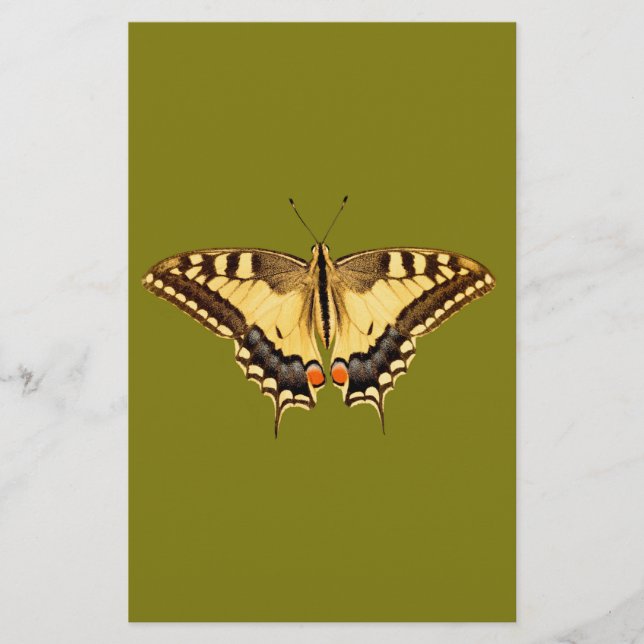 Dansende Butterfly (Voorkant)